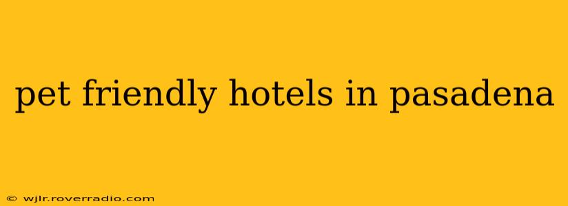 pet friendly hotels in pasadena