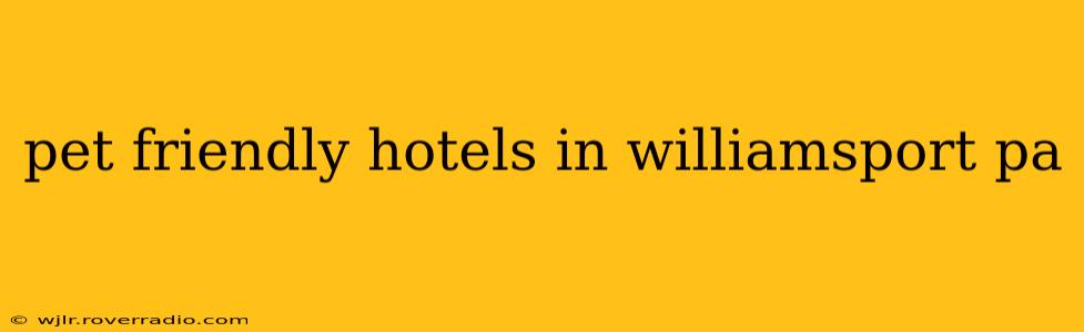 pet friendly hotels in williamsport pa