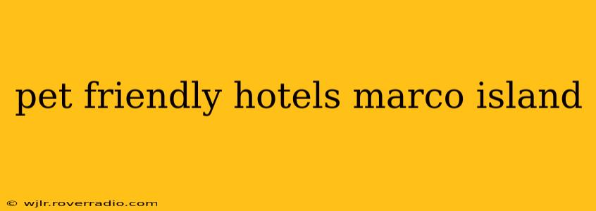 pet friendly hotels marco island