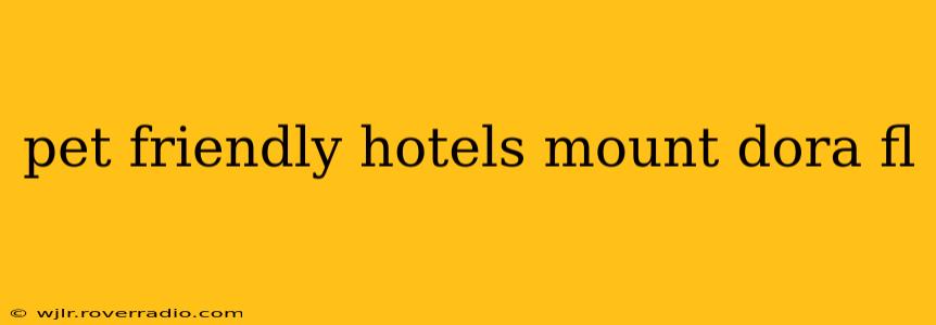 pet friendly hotels mount dora fl
