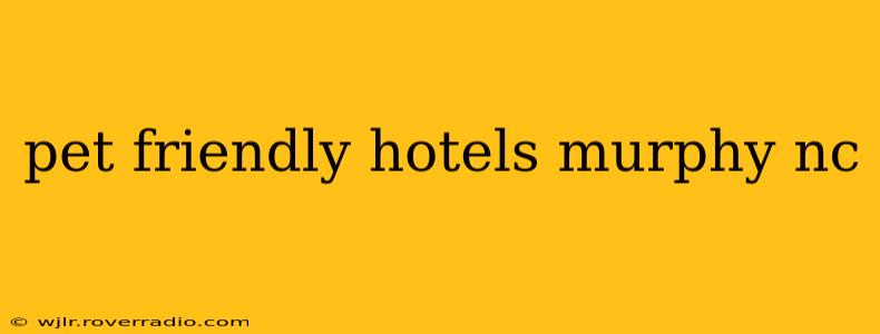 pet friendly hotels murphy nc