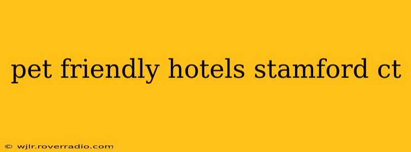 pet friendly hotels stamford ct
