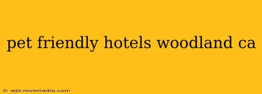 pet friendly hotels woodland ca