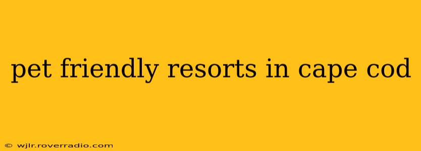 pet friendly resorts in cape cod