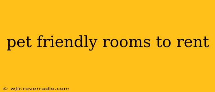 pet friendly rooms to rent