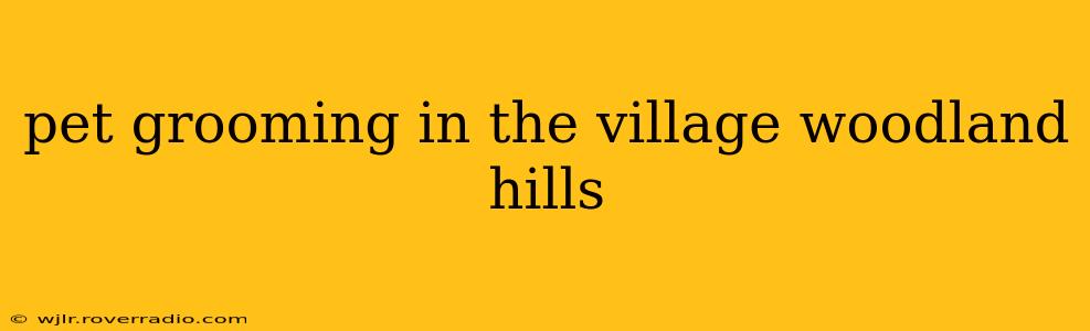 pet grooming in the village woodland hills