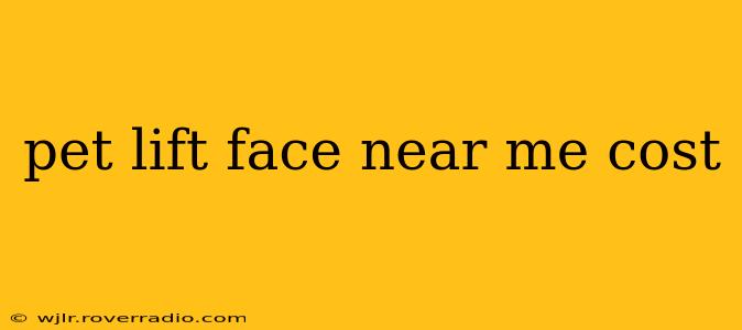 pet lift face near me cost