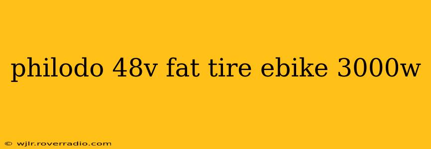 philodo 48v fat tire ebike 3000w