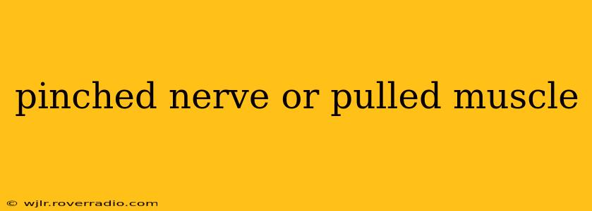 pinched nerve or pulled muscle