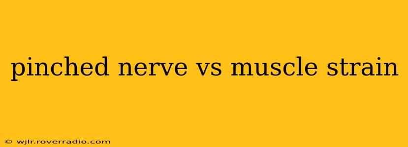 pinched nerve vs muscle strain