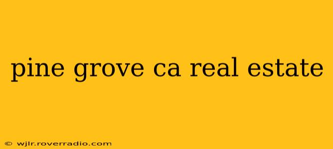 pine grove ca real estate