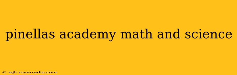 pinellas academy math and science