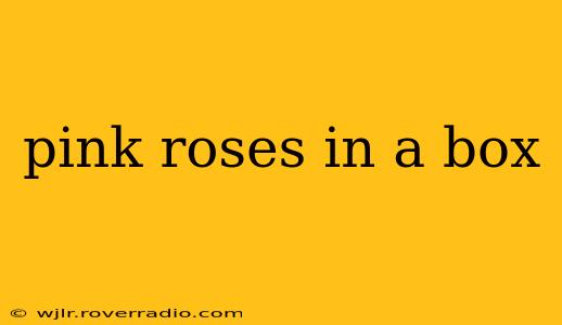 pink roses in a box