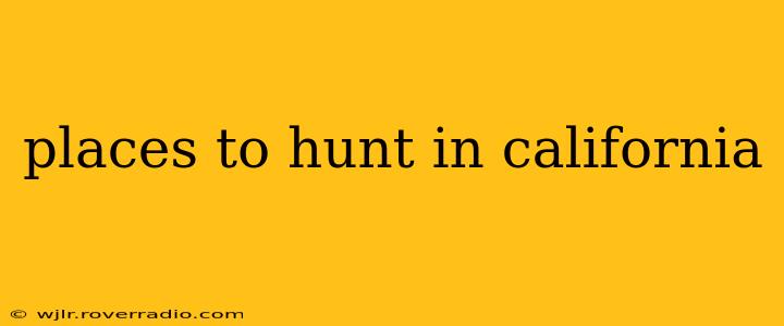 places to hunt in california