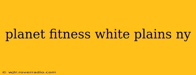 planet fitness white plains ny