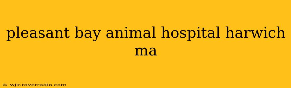 pleasant bay animal hospital harwich ma