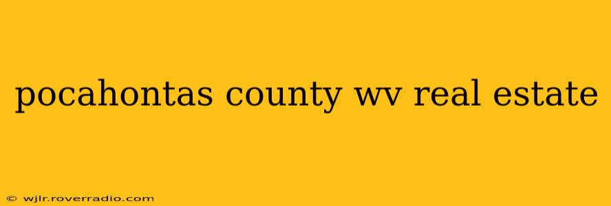 pocahontas county wv real estate