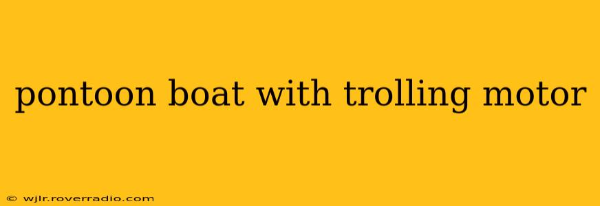 pontoon boat with trolling motor
