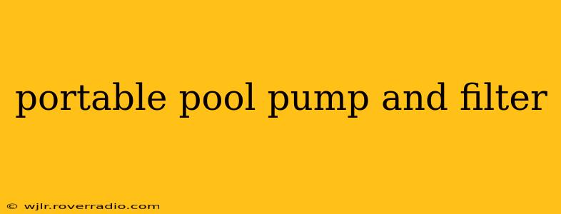 portable pool pump and filter