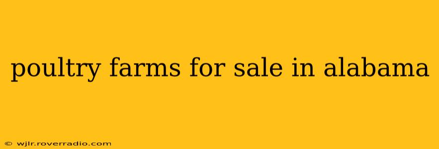 poultry farms for sale in alabama