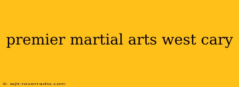 premier martial arts west cary