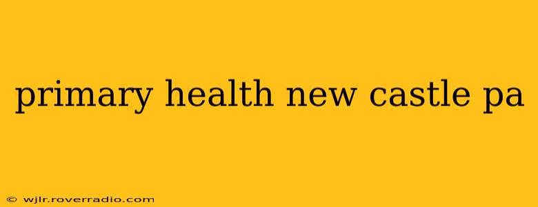 primary health new castle pa