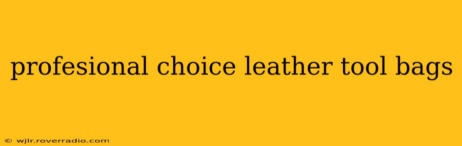 profesional choice leather tool bags