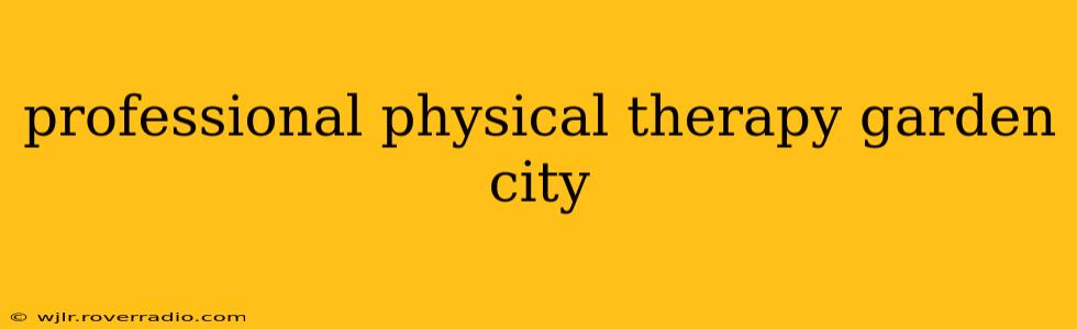 professional physical therapy garden city