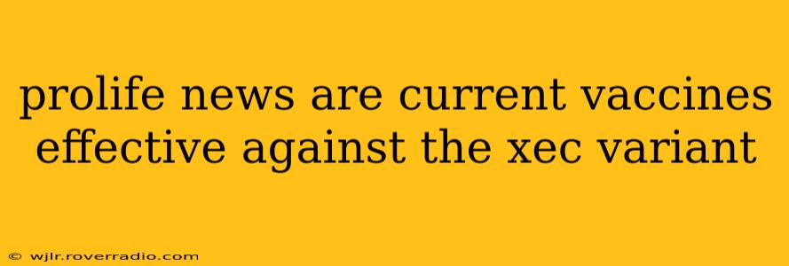 prolife news are current vaccines effective against the xec variant