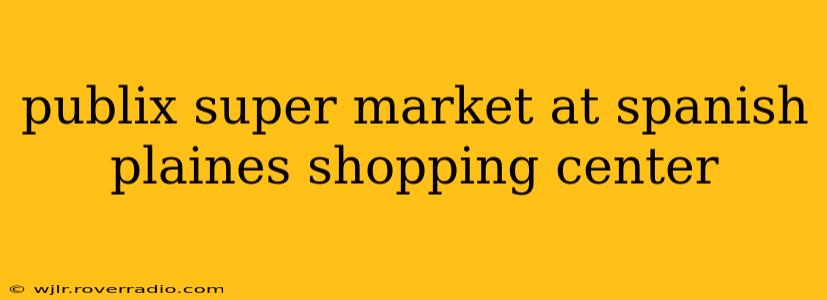 publix super market at spanish plaines shopping center