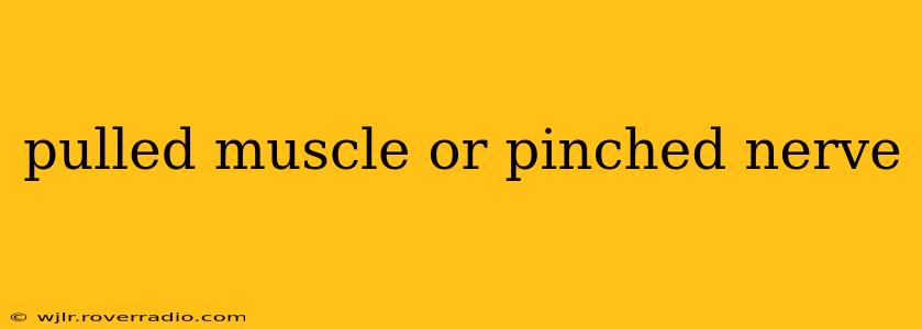 pulled muscle or pinched nerve