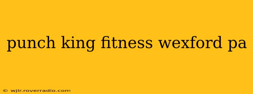 punch king fitness wexford pa