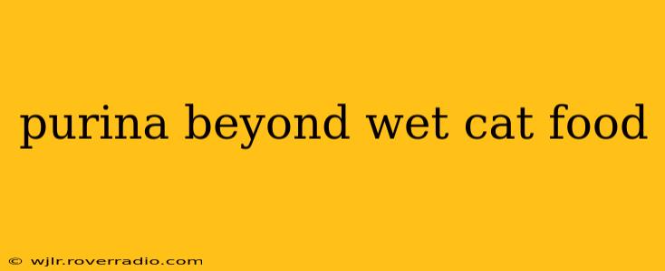 purina beyond wet cat food
