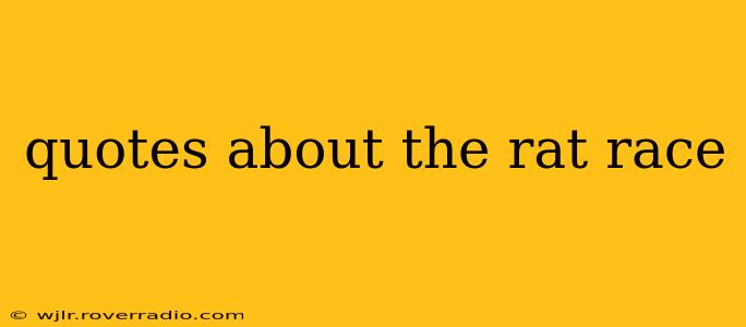 quotes about the rat race