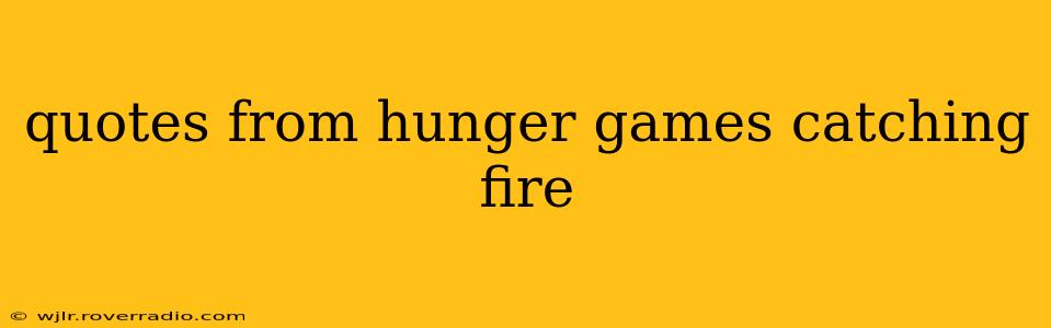 quotes from hunger games catching fire