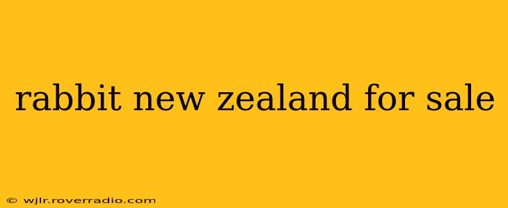 rabbit new zealand for sale