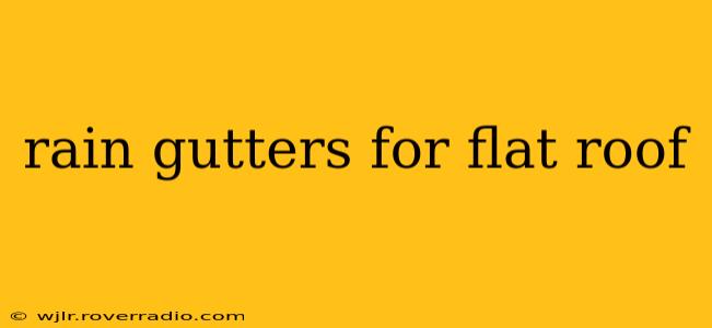 rain gutters for flat roof