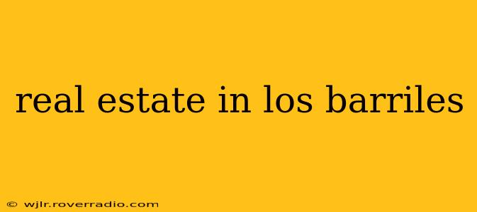 real estate in los barriles
