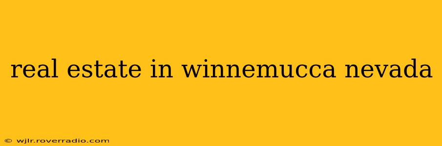real estate in winnemucca nevada