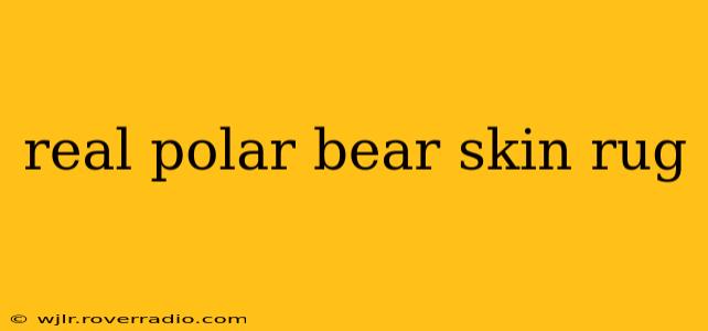 real polar bear skin rug