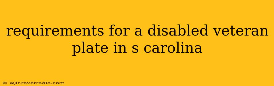 requirements for a disabled veteran plate in s carolina