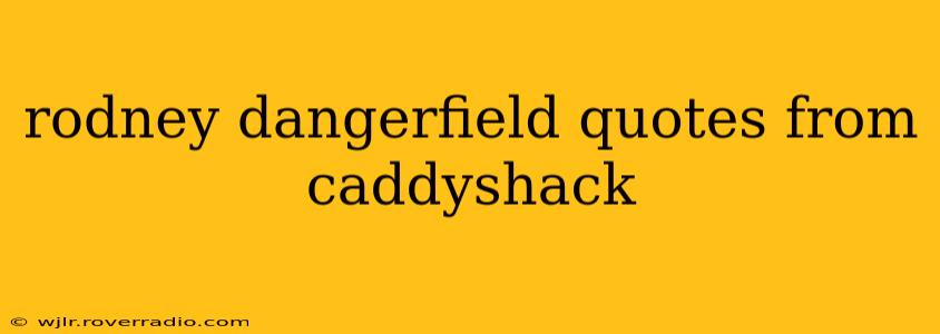 rodney dangerfield quotes from caddyshack