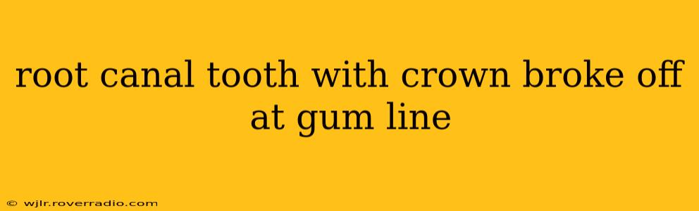 root canal tooth with crown broke off at gum line