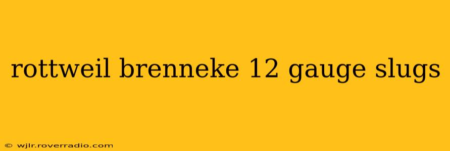 rottweil brenneke 12 gauge slugs