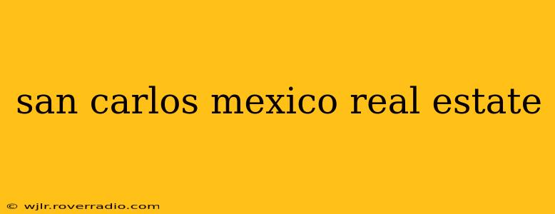 san carlos mexico real estate