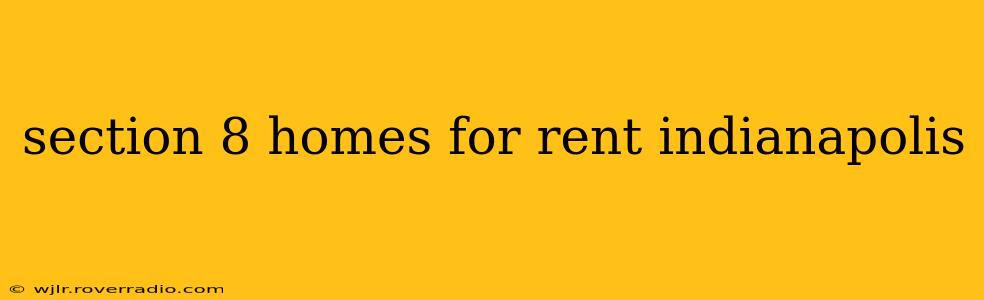 section 8 homes for rent indianapolis