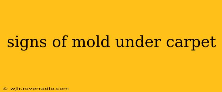 signs of mold under carpet