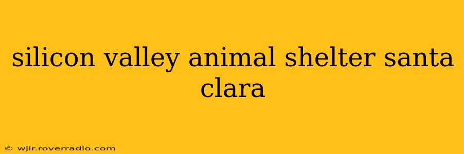 silicon valley animal shelter santa clara