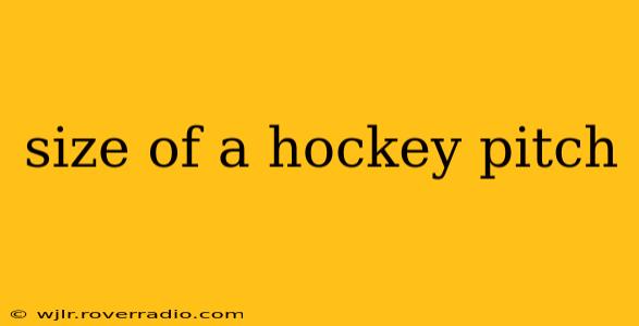 size of a hockey pitch