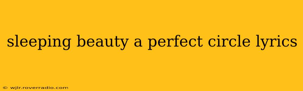 sleeping beauty a perfect circle lyrics